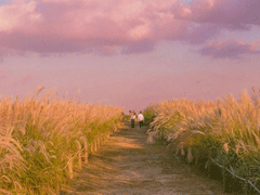 一眼就喜欢上的表白情话 给对象表白感动暖心情话