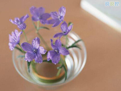 QQ个性说说带图片2 QQ个性说说带图片2