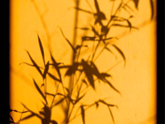 金九银十再见九月 你好十月在生活中成长